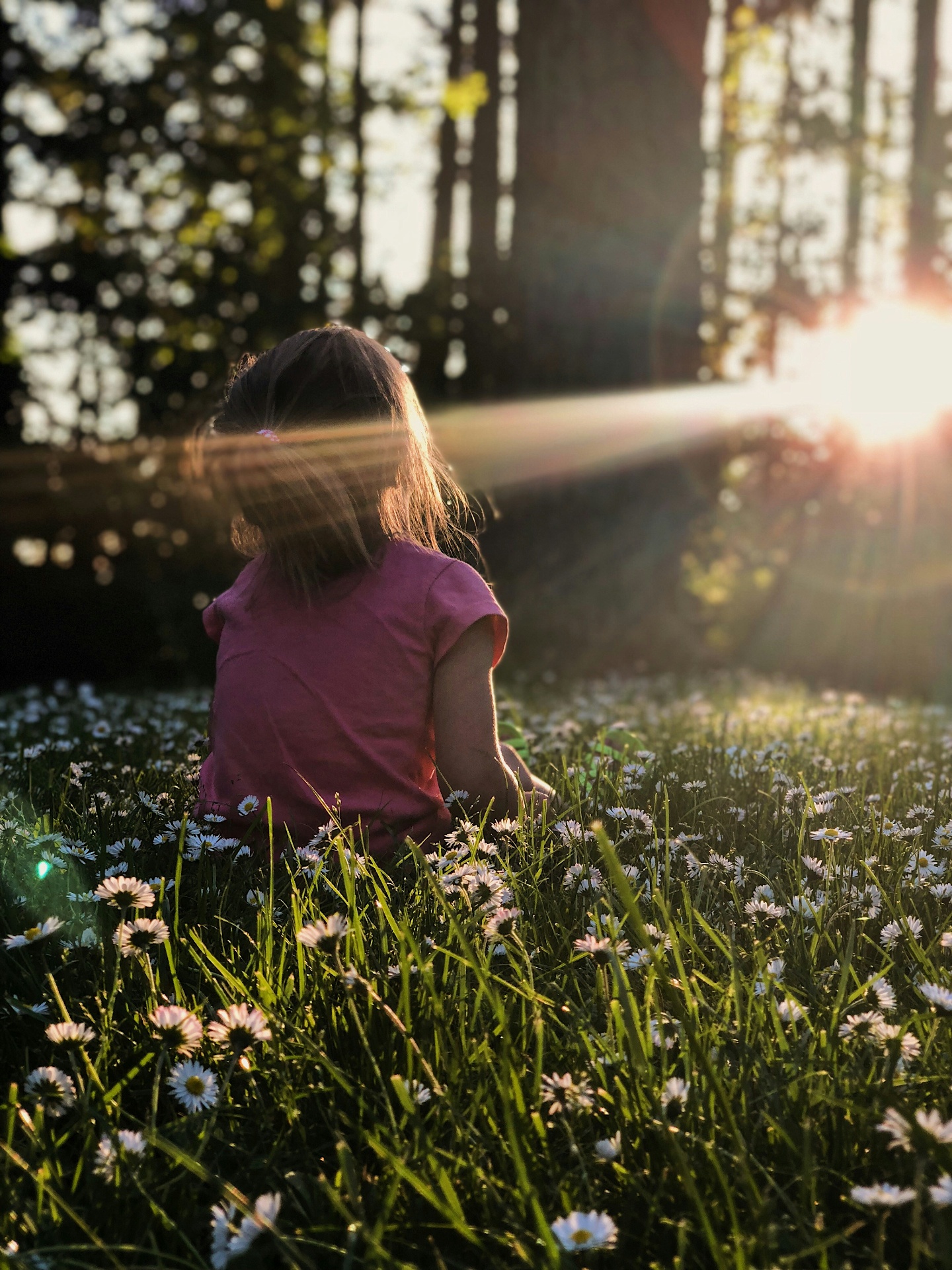 Kidsproof uitstappen en festivals in Vlaanderen deze zomer (2026)