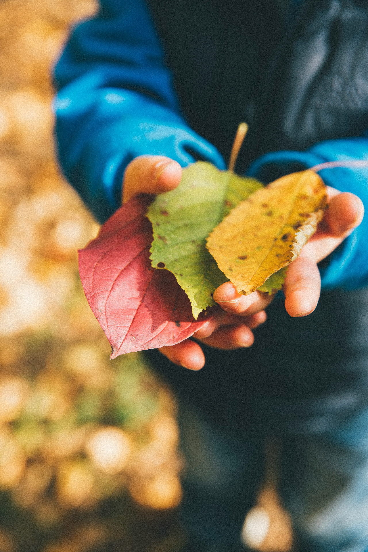 60 uitstapjes met kinderen in de herfstvakantie